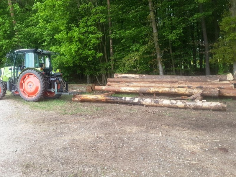 20, Stamm angehängt weite Kompr.jpg