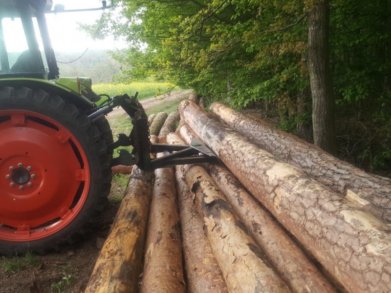 22, Stamm gepoltert Kompr.jpg