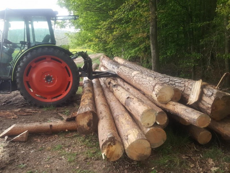 23, Stamm gepoltert weite Kompr..jpg