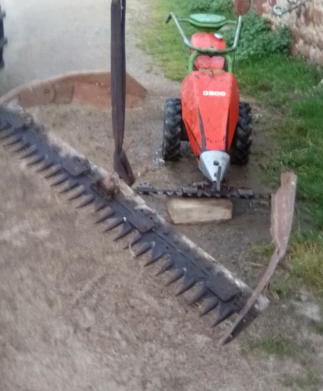 IMG_20200601_210657 (2).jpg