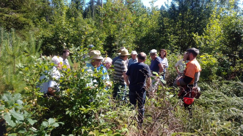 Waldbegehung_IMG_20200710_100549[1_50].jpg