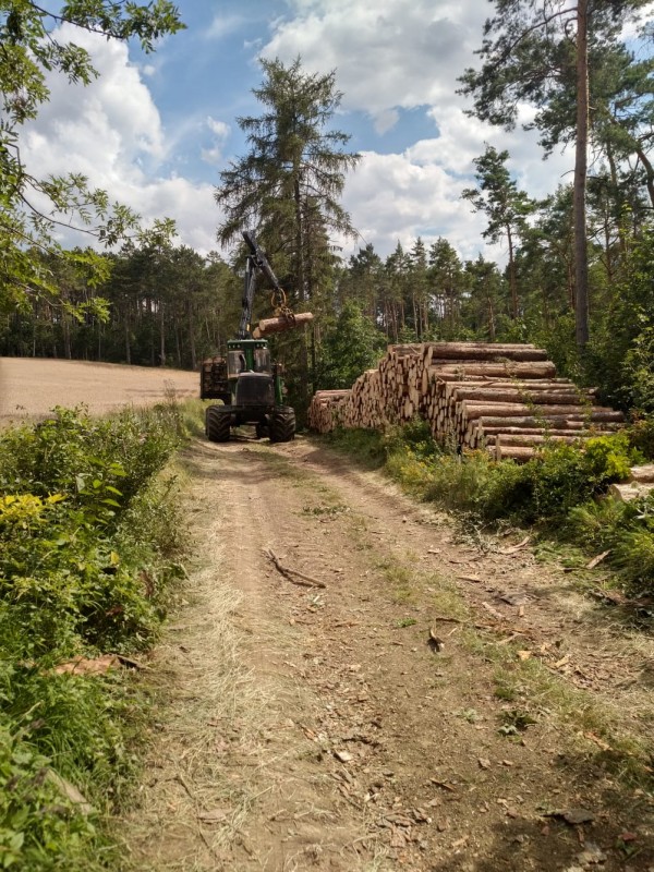 WhatsApp Image 2020-07-25 at 15.43.54.jpeg