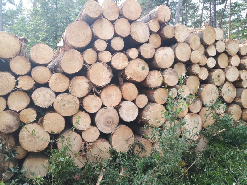 WhatsApp Image 2020-07-25 at 15.44.51.jpeg