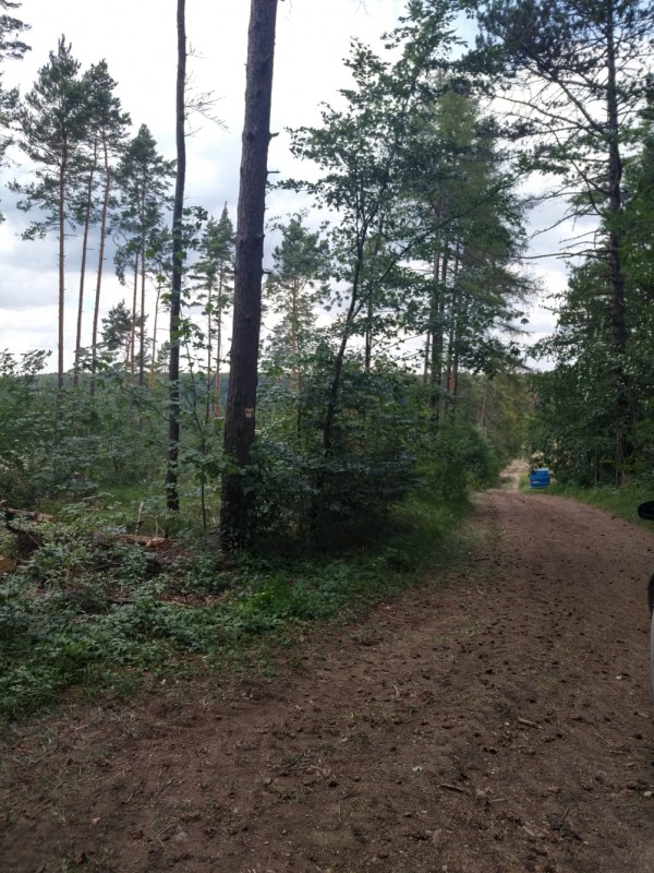 WhatsApp Image 2020-07-25 at 15.46.34.jpeg