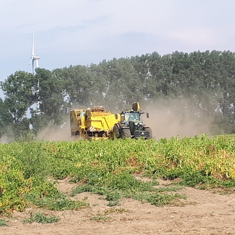 20200809_175635_copy_979x979_1 (002).jpg