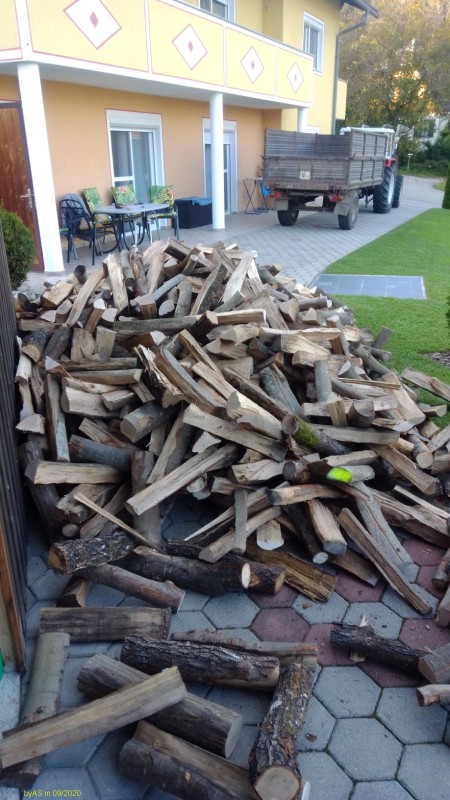 Brennholz_IMG_20200911_171600[1_50].jpg