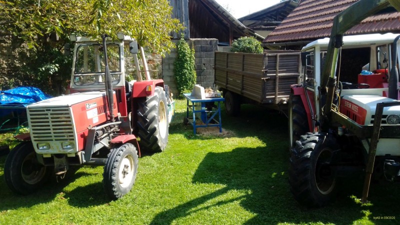 verteilte Rollen_IMG_20200912_124732[1_50].jpg