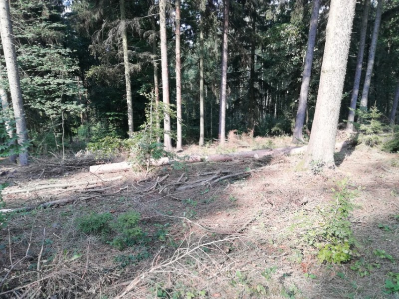 2020091313565600.jpg