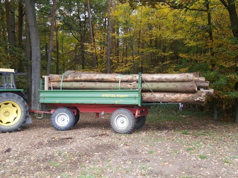 19. Schlepper  beladen Wald 3 - Komp..jpg