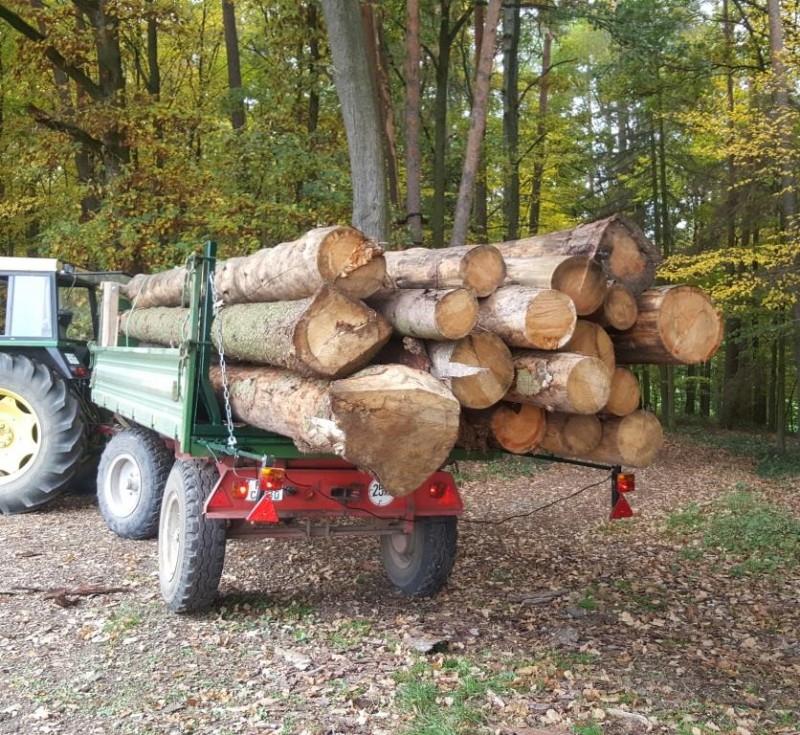 20. Schlepper  beladen v hinten Wald 4 - Komp..jpg