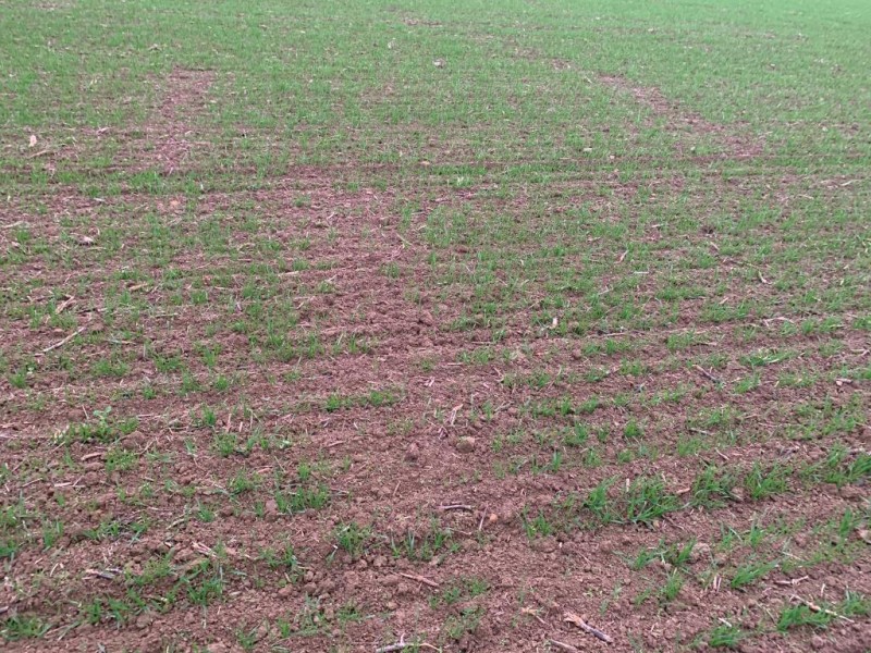 Aussetzer wegen springender Antriebskette.JPG