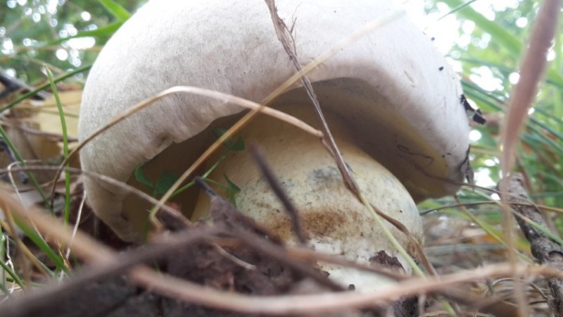 20200913_131231 (Small).jpg