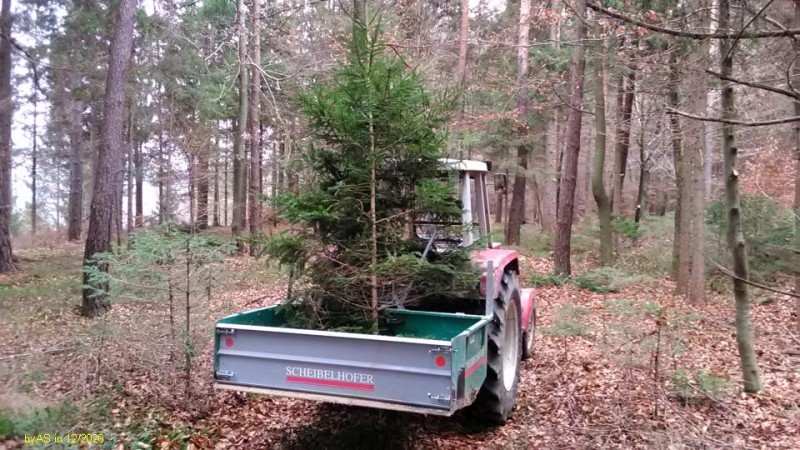 Weihnachtsbaum_IMG_20201221_112448[1_50].jpg