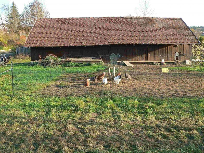Rückseite Schuppen inkl. Hühnerauslauf.jpg