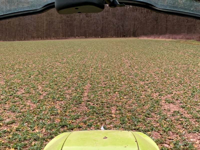 Winis Raps an der Waldesruh.JPG