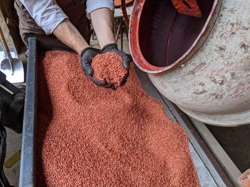 Elixer mit Rubin gebeizt.JPG