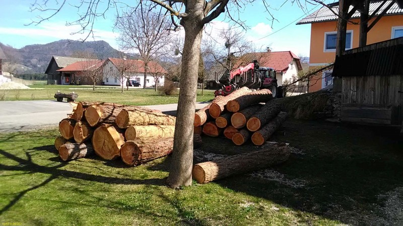 Stepa_IMG_20210401_113455.jpg