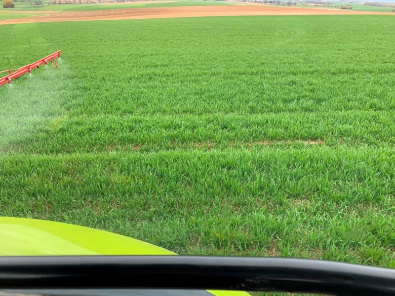 Elixer Anfang April 2021 Axial Komplett Rand-Behandlung.JPG