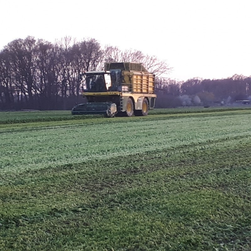 20210422_203233_copy_979x979 (002).jpg