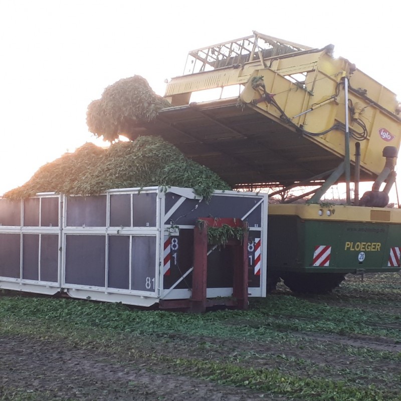 20210422_203522_copy_979x979 (002).jpg