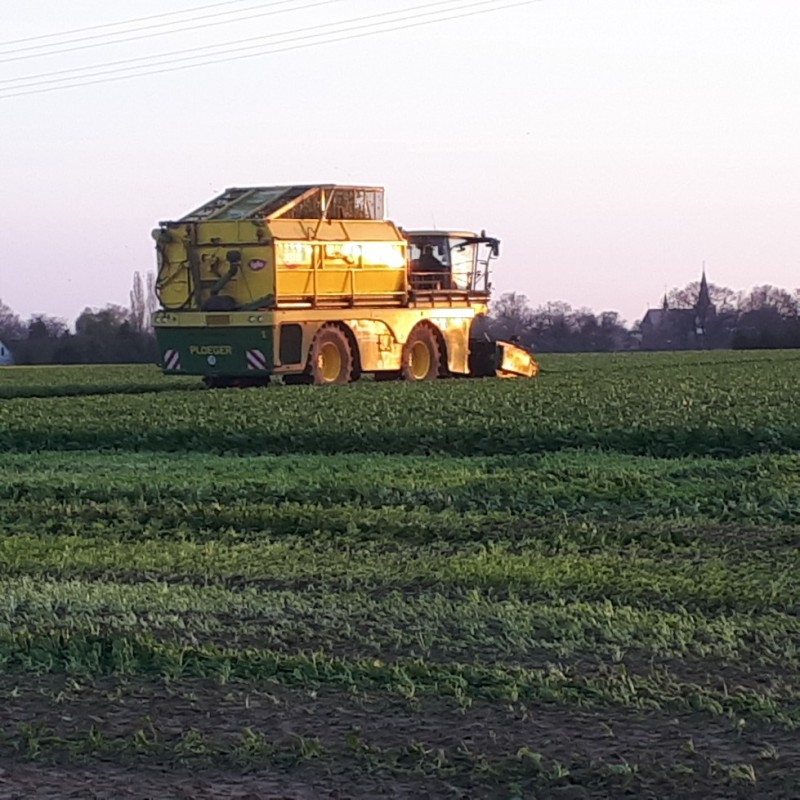 20210422_202816_copy_979x979 (002).jpg