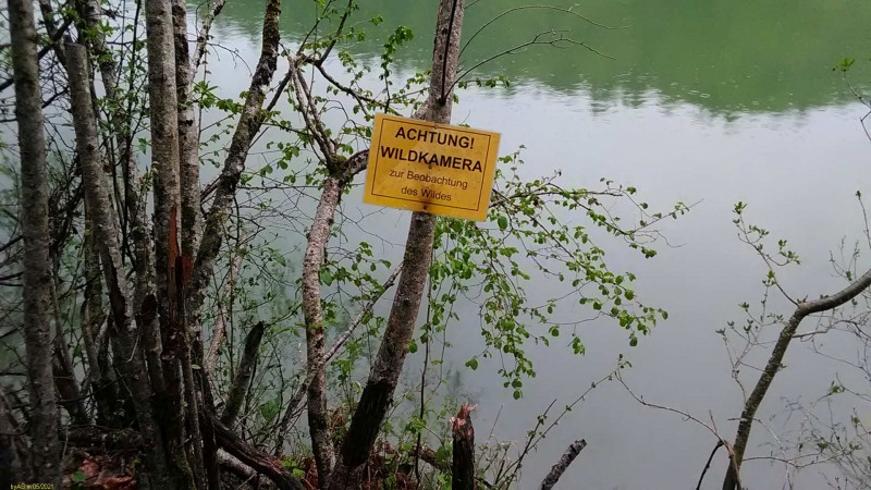 Wldkamera_IMG_20210502_100816.jpg