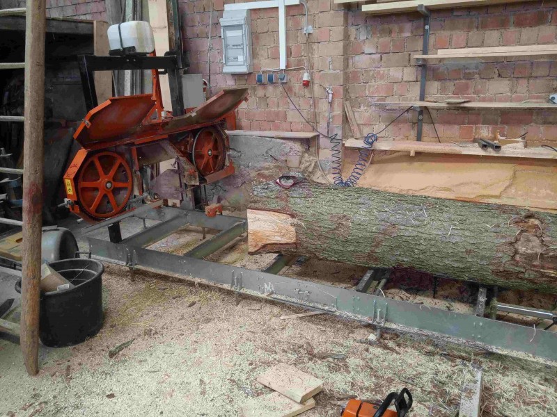 Säge Stamm nah_20210525 kom.jpg