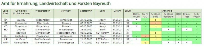 Weizen Pilzkrankheiten Ende Mai 2021.JPG