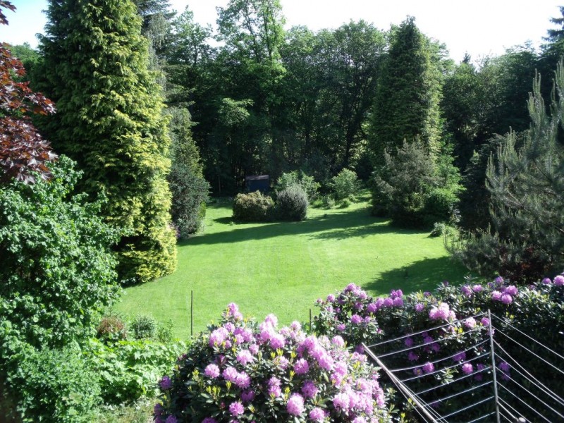 Garten1.jpg