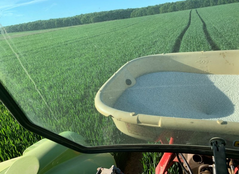 Elixer Anfang Juni 2021 3a-Gabe.JPG