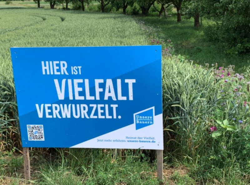 Hier ist Vielfalt verwurzelt.JPG