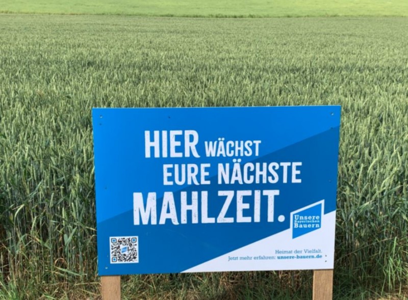 Hier wächst Eure nächste Mahlzeit.JPG