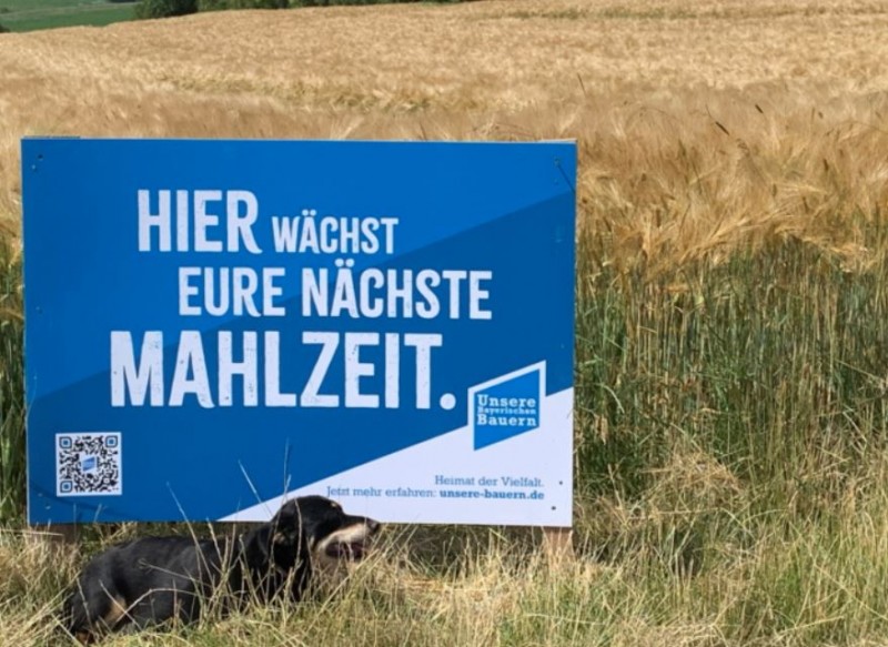 Hier wächst Eure nächste Mahlzeit.JPG