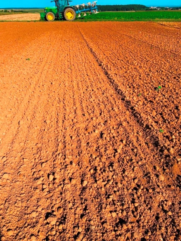 Wini Pflugraps Saatbett.JPG