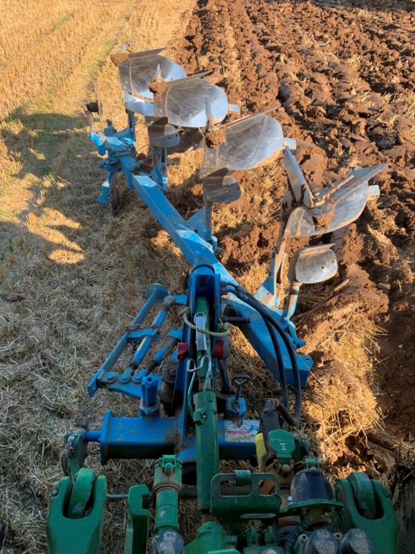 Wini Stoppelsturz Winterweizen.JPG