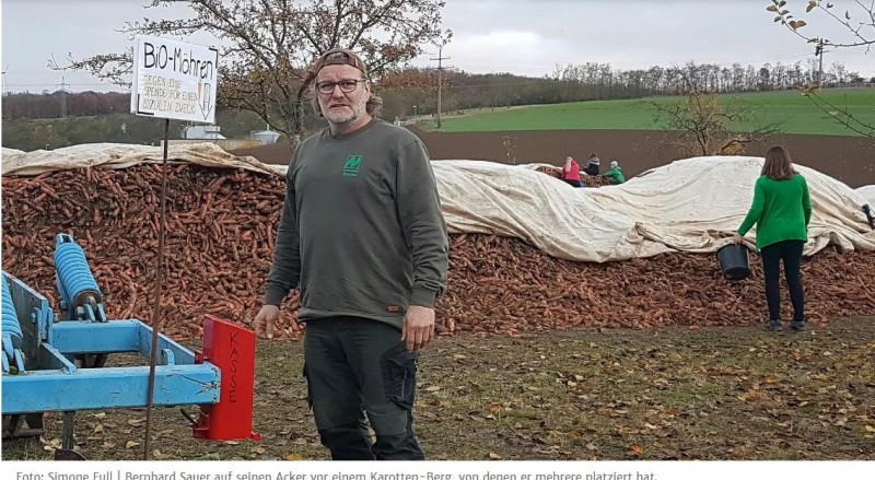 Bio Möhren für Selbstabholer.JPG