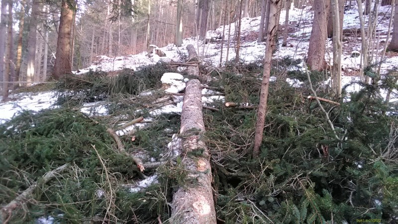 IMG_20220110_104644.jpg