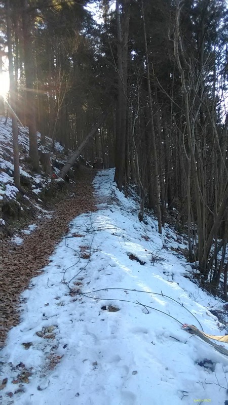 IMG_20220118_114651.jpg