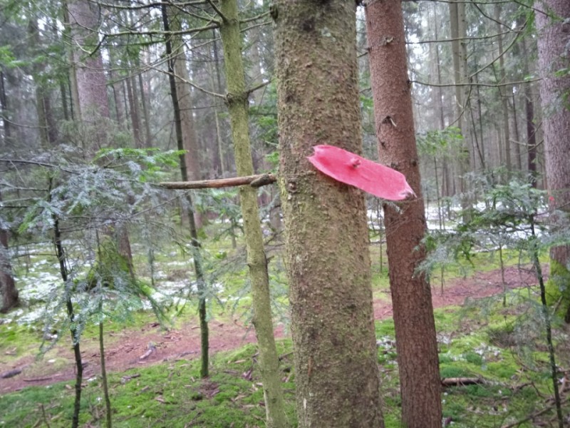 2022011821032401.jpg