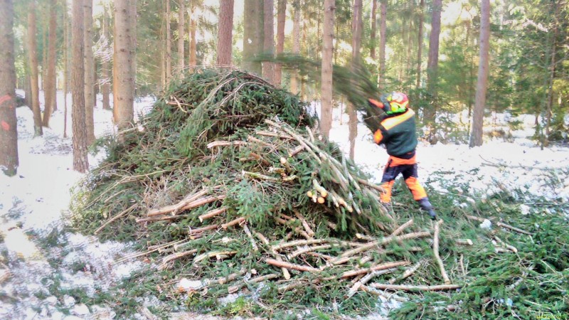 IMG_20220122_112513.jpg