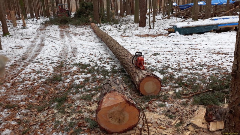 20220124_120733.jpg