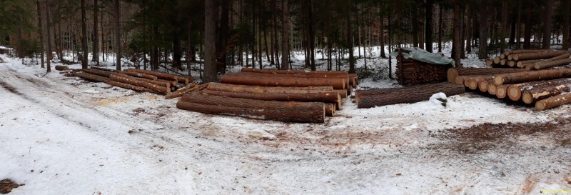 20220124_125856.jpg