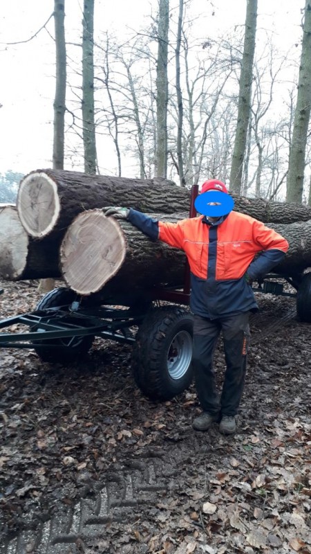 Einsatz Langholzwagen 02.jpg