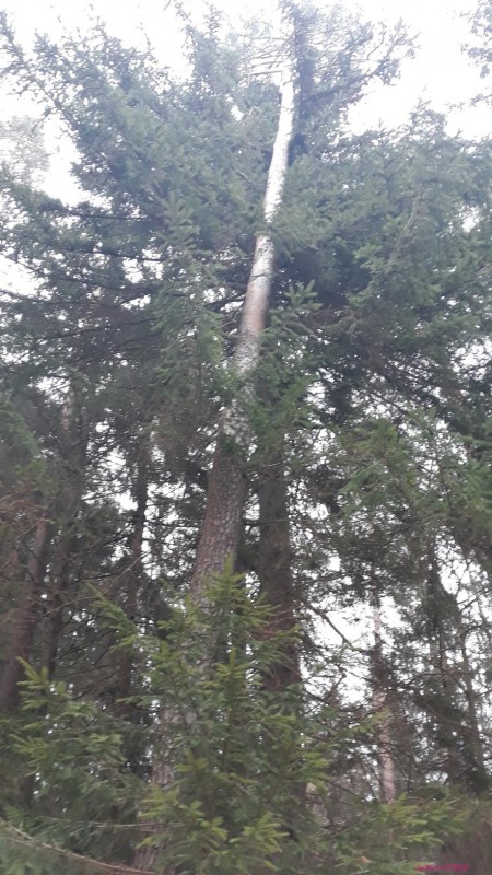 20220126_133113.jpg