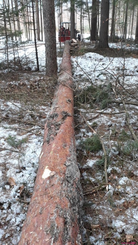 20220126_135952.jpg