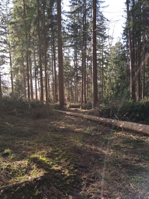 2022012917360300.jpg