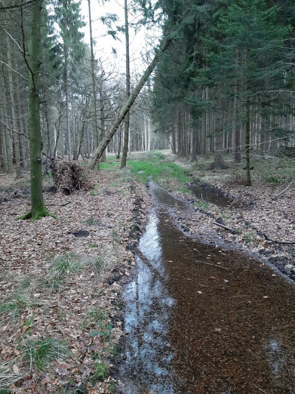 20220130_083112.jpg