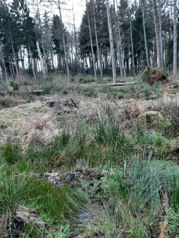 20220130_083602.jpg