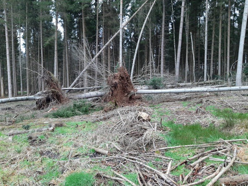 20220130_083857.jpg