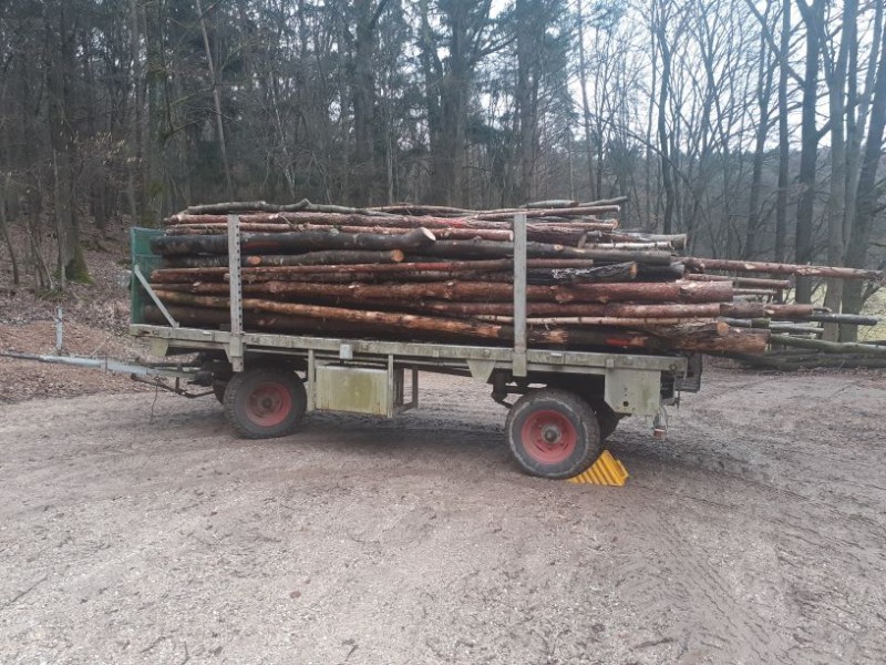 Holzsaison 2021-22 (1).jpg